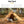 Load image into Gallery viewer, Hot Tent with Stove Jack 4-8 Person