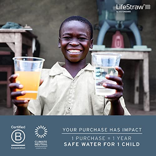 LifeStraw Go Water Filter Bottle with 2-Stage Integrated Filter Straw for Hiking