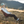Load image into Gallery viewer, TREKOLOGY Camping Chairs