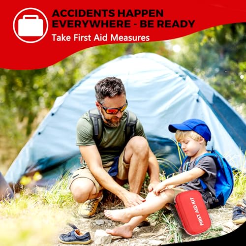 173pcs First Aid Kit with Upgraded Handle Design